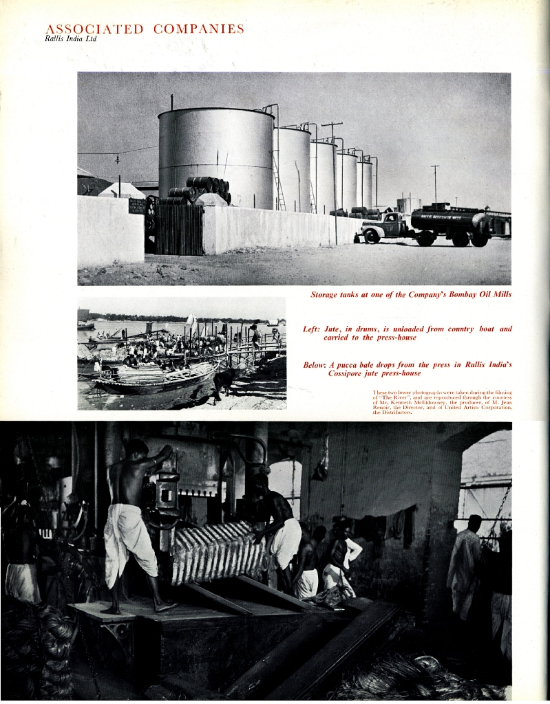 19510000 RALLI BROTHERS LIMITED 50.jpg
